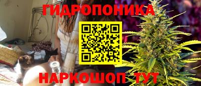 твердый Краснодар